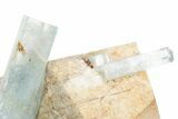 Gemmy Aquamarine Crystals on Feldspar - Erongo Mountains, Namibia #354946-1